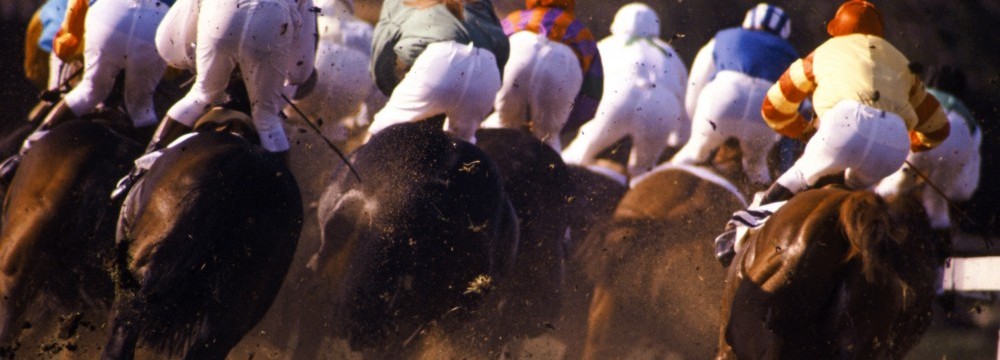 Jenavive Dore Equine Dental Services